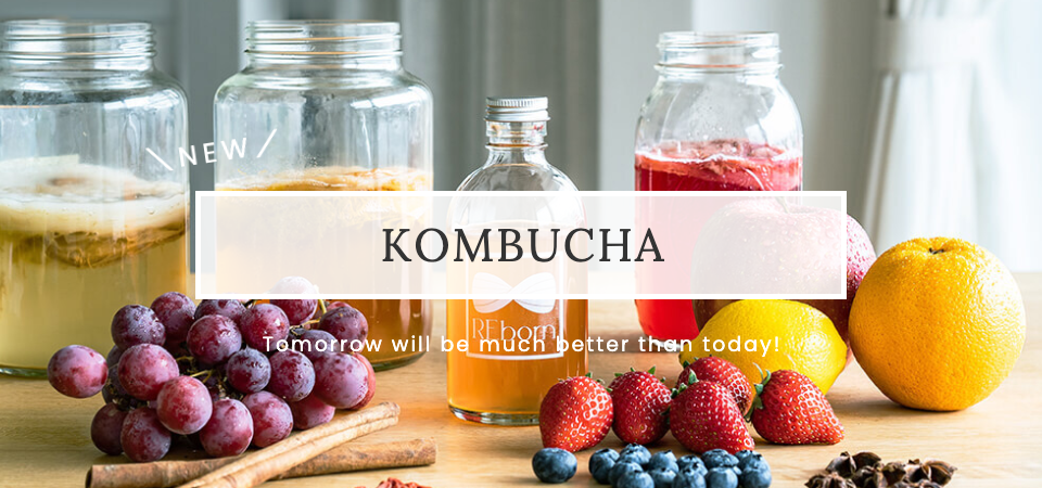 KOMBUCHA（コンブチャ）